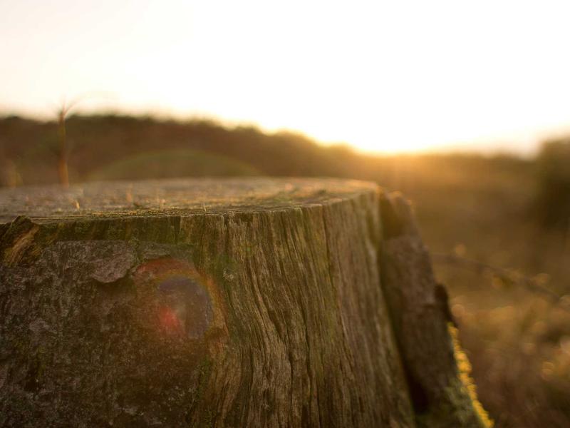 sudoku mac app screenshot 4